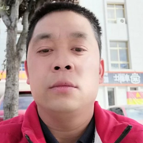 棒棒糖漫步优美的照片