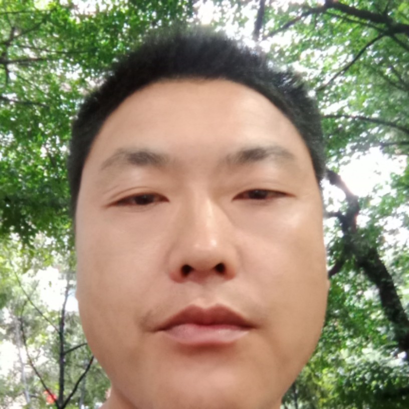 大炮零碎的照片