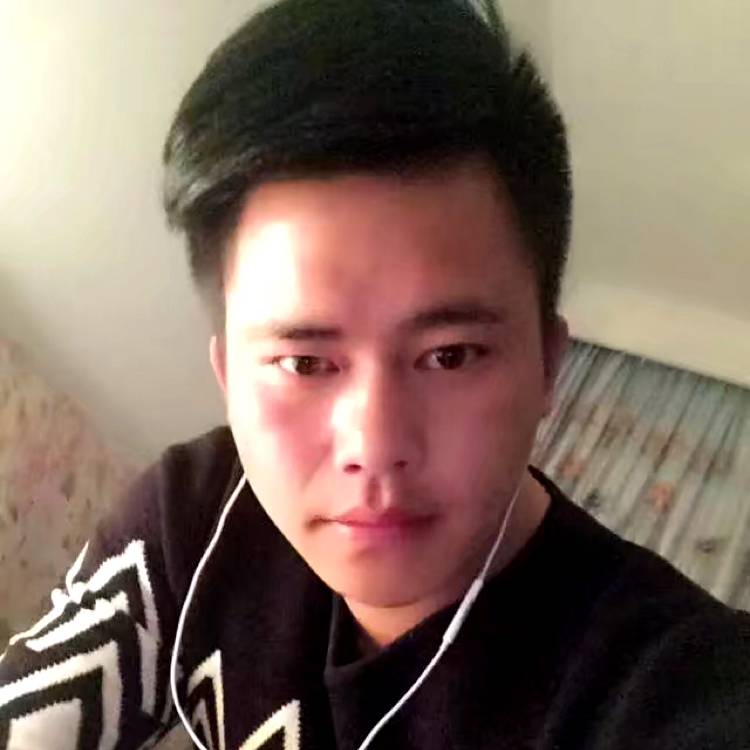 西红柿、炒番茄的照片