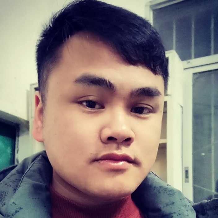 曾经邂逅树叶的照片