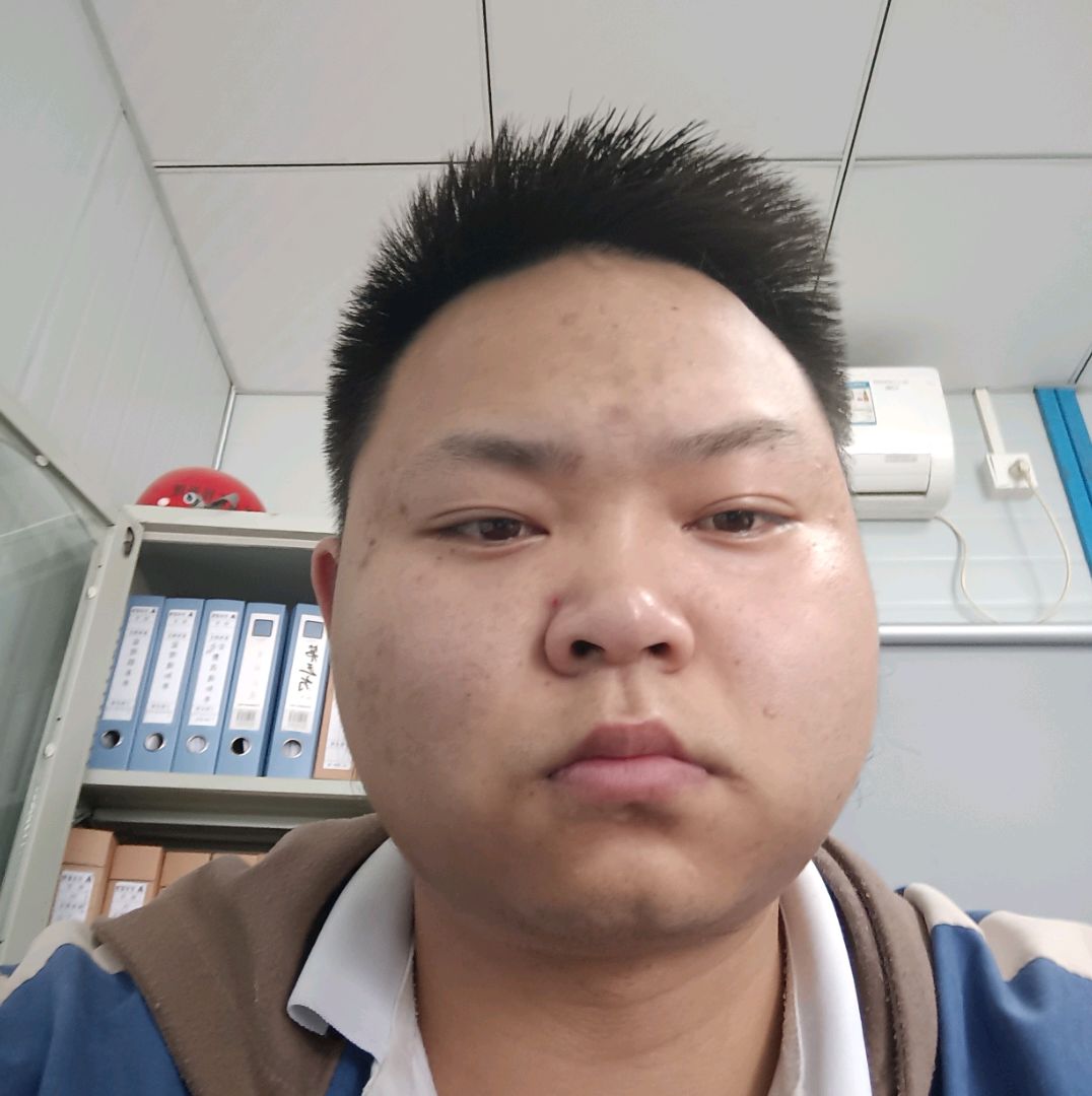 温馨仓鼠的照片