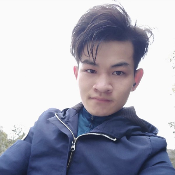 松树林呀的照片