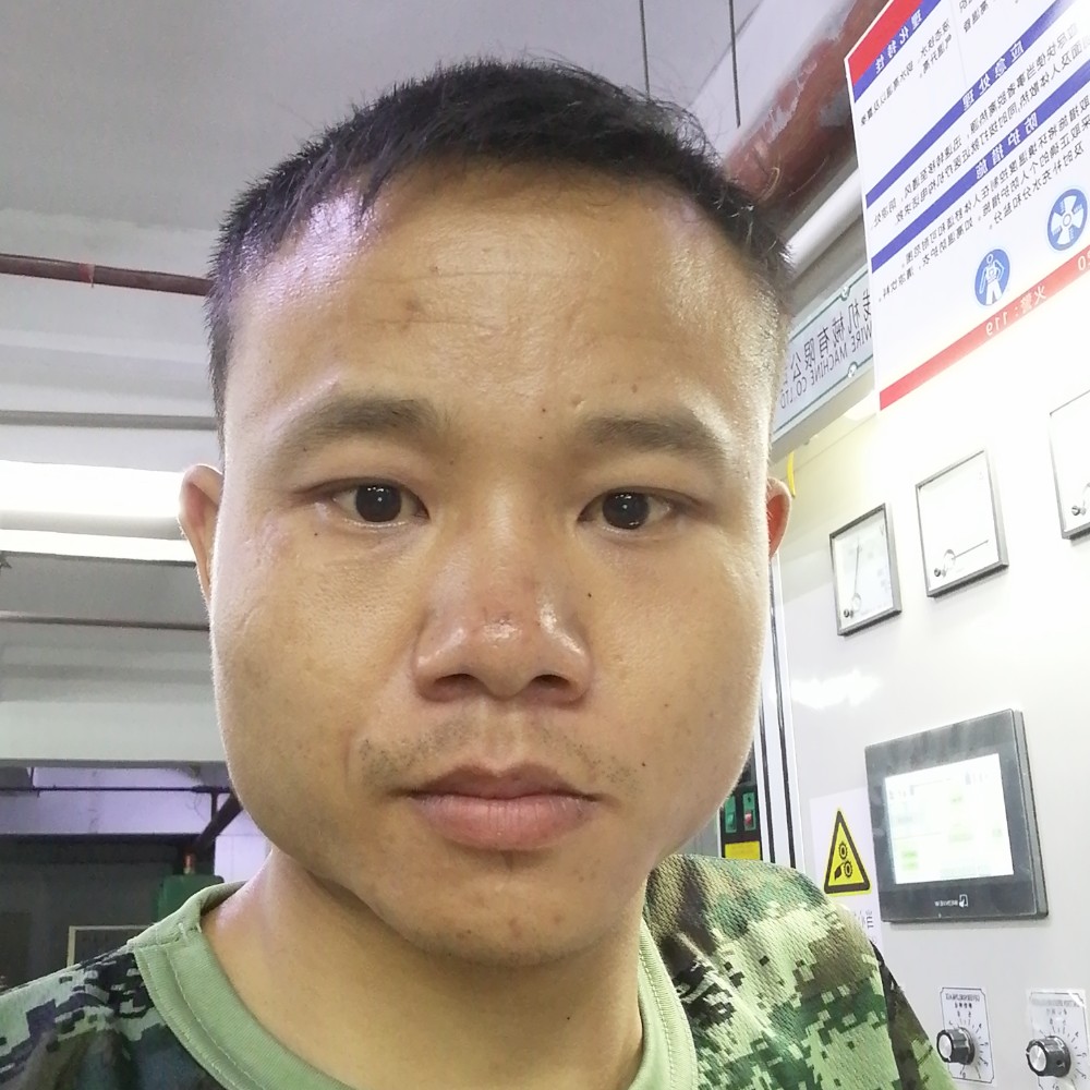 黑猫漫步想人陪的照片