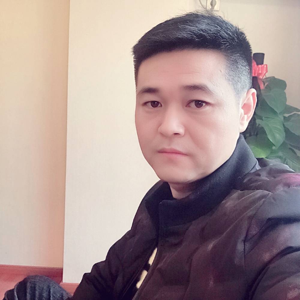 小蜜蜂多么大胆的照片