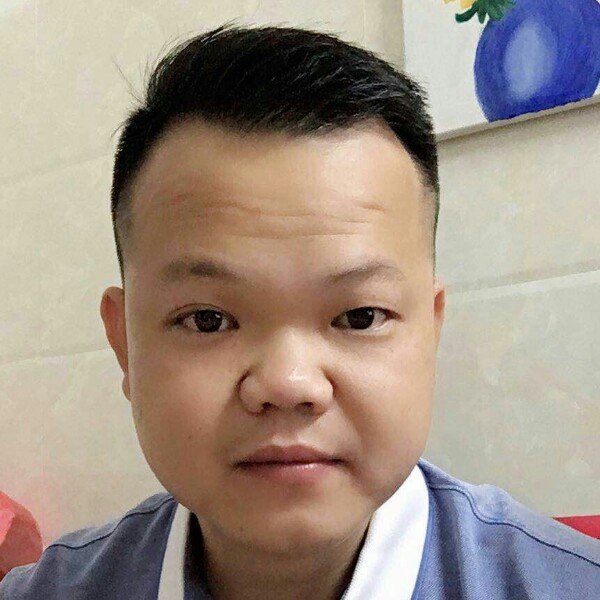 鸵鸟缠绵的照片