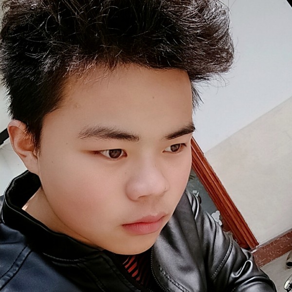 坏小灰灰的照片