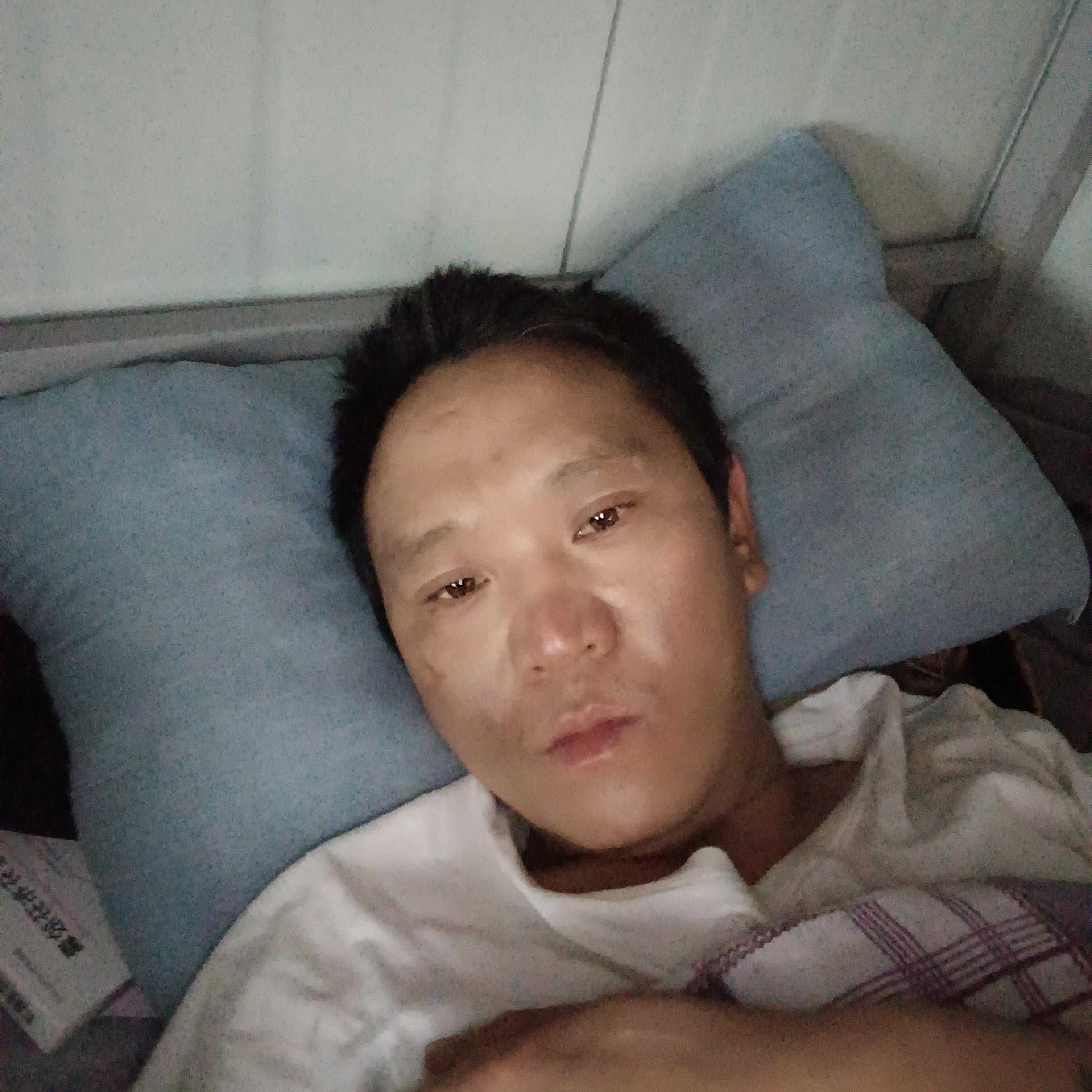 平常改变黄蜂的照片