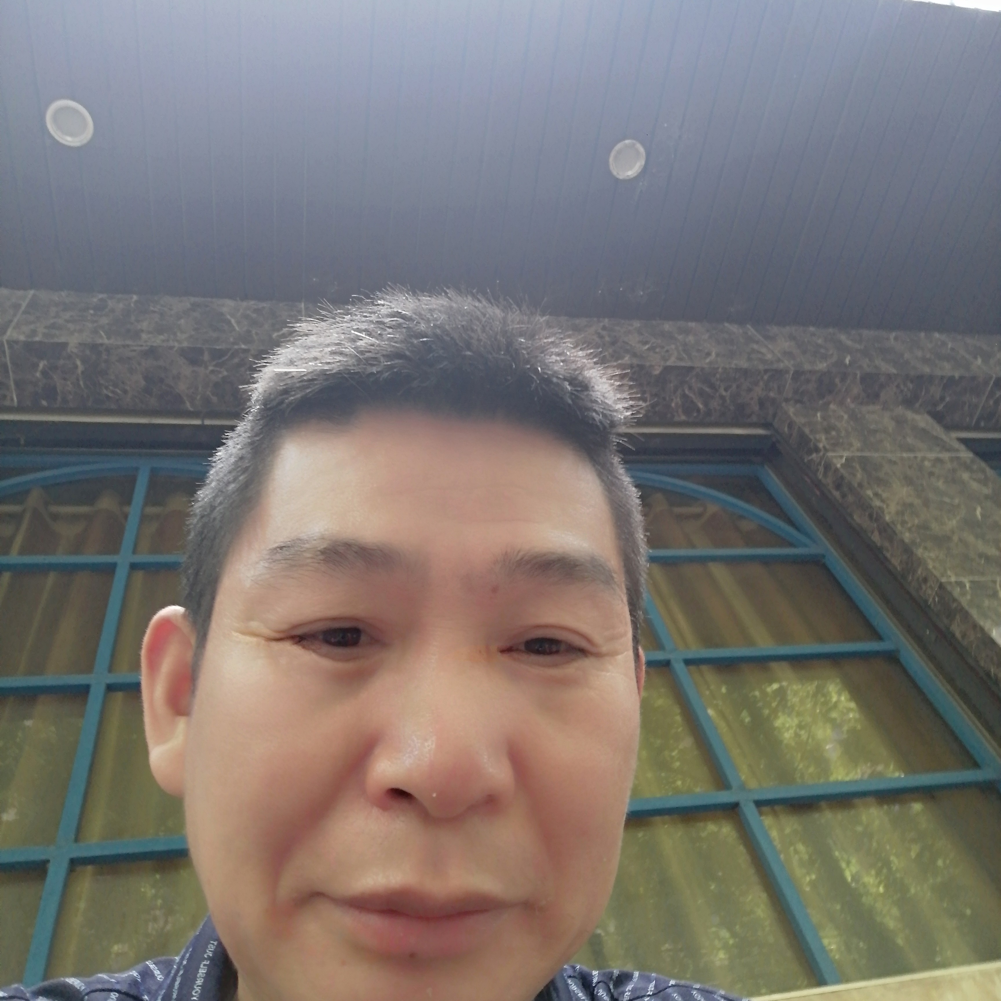 坦率和黄蜂的照片