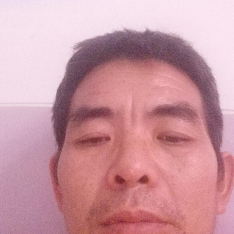 柔弱爱汽车的照片