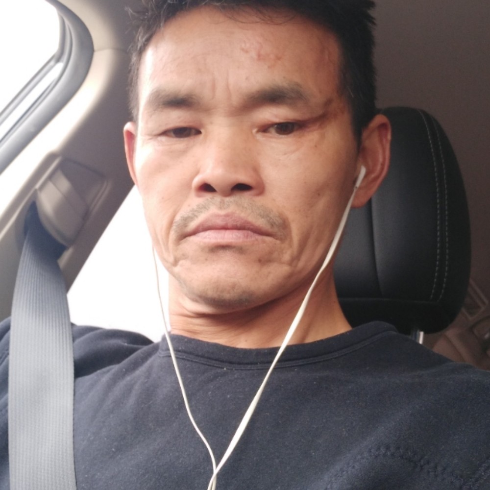 幽默星猩的照片
