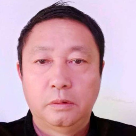 温柔凝眸小刺猬的照片