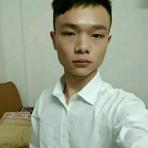 《乐乐》的照片