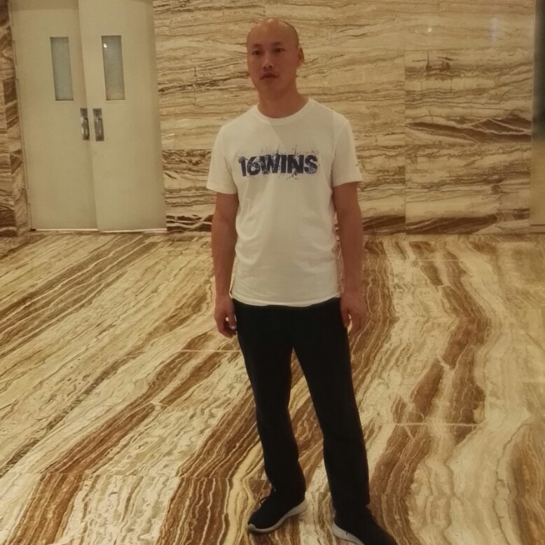 舒适蜜蜂的照片