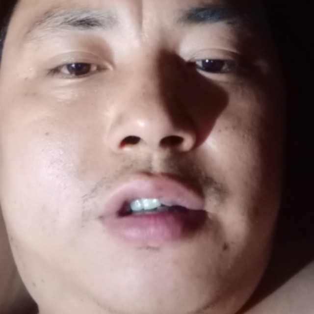 火龙果背后的照片