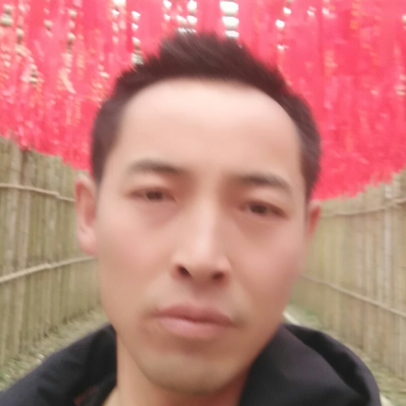 坚定回首身影的照片