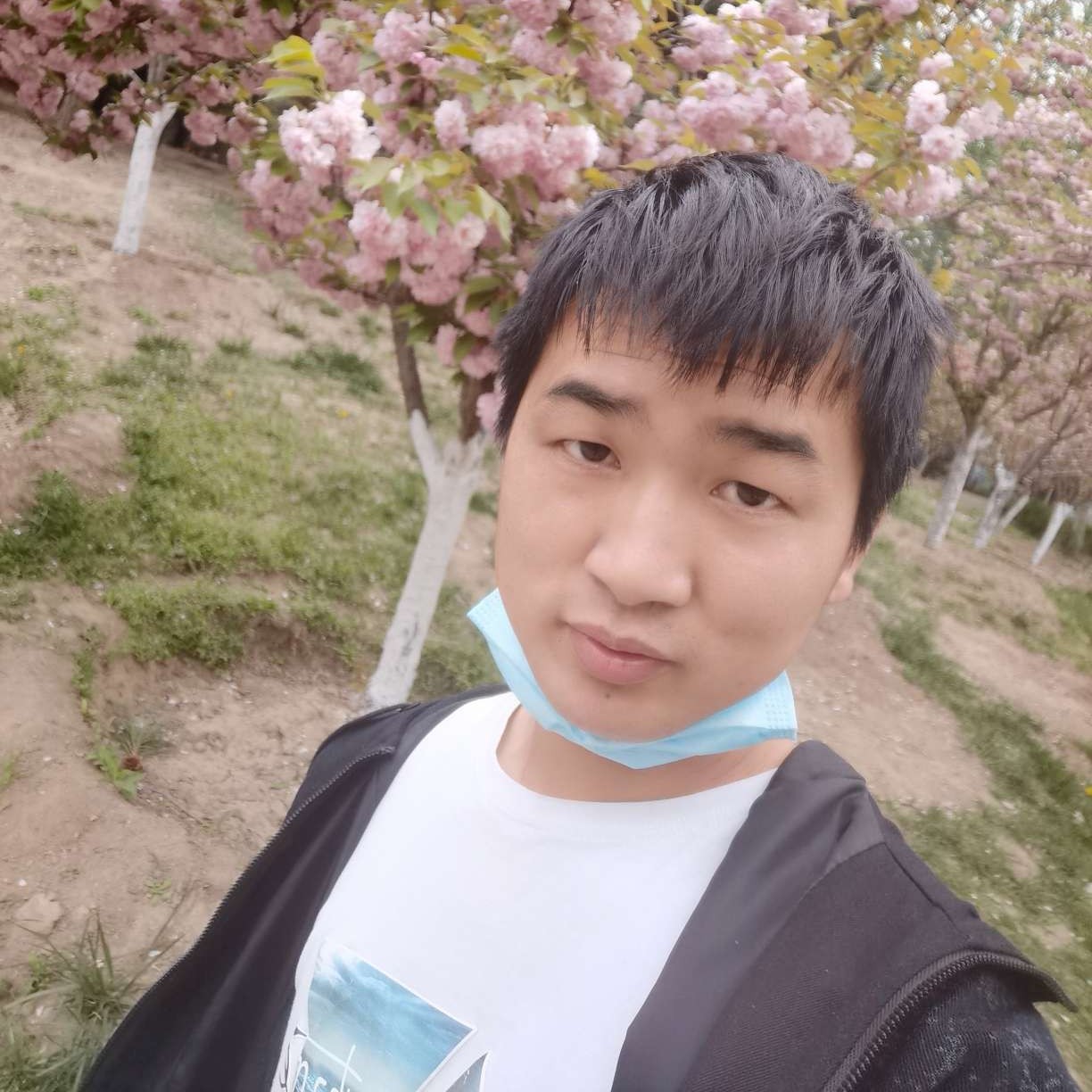 不安扯仙人掌的照片