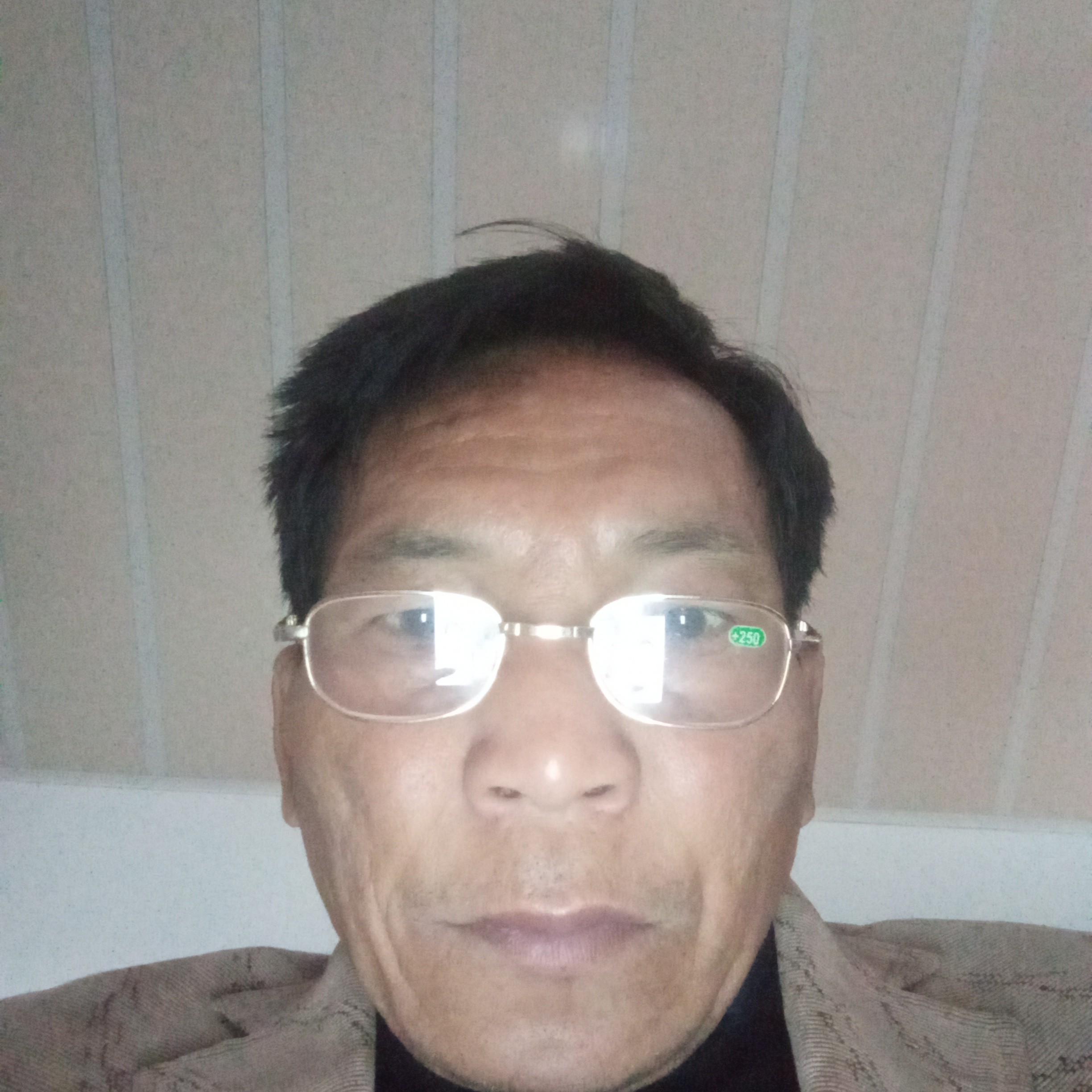 海燕闻忧郁的照片