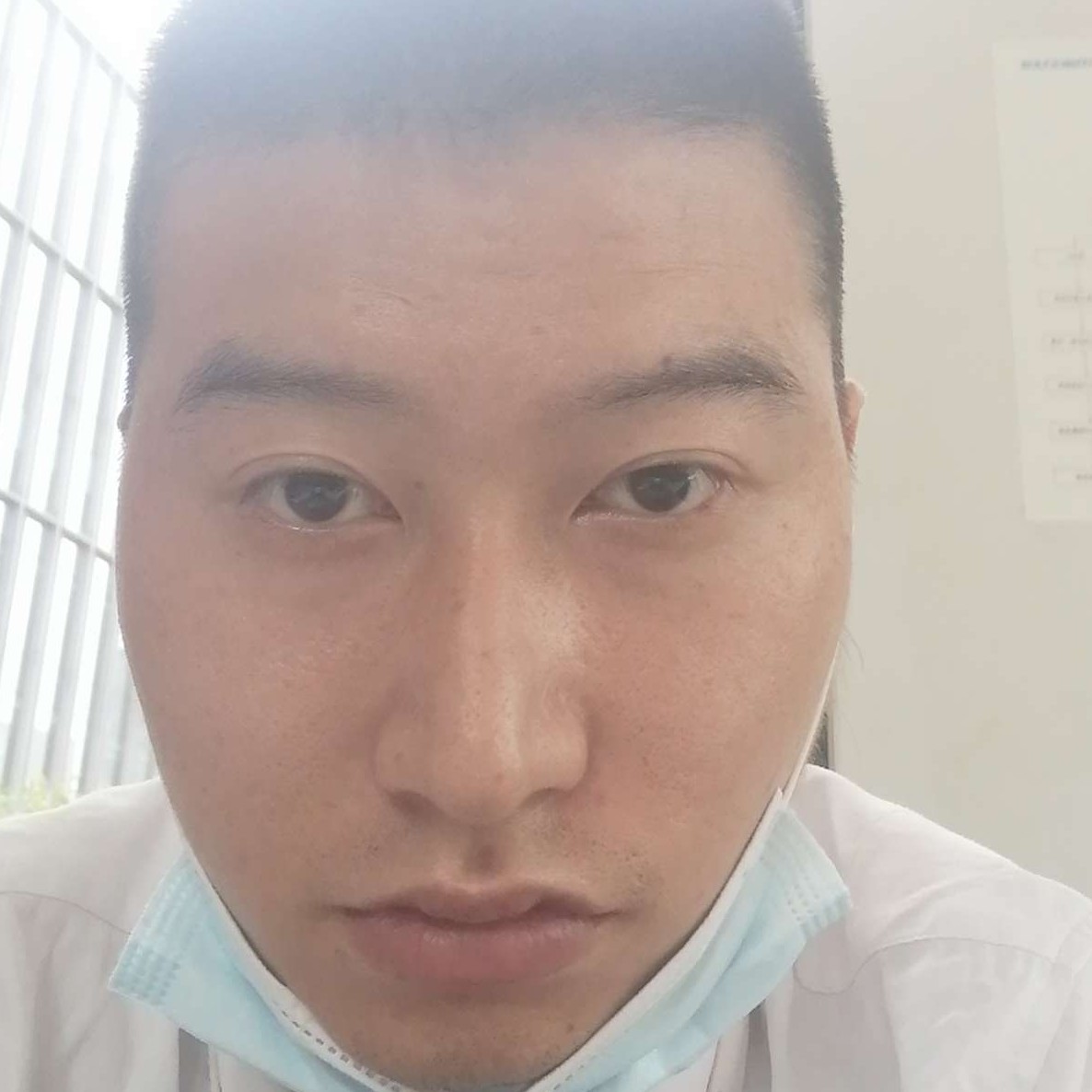 稳重倾心草丛的照片