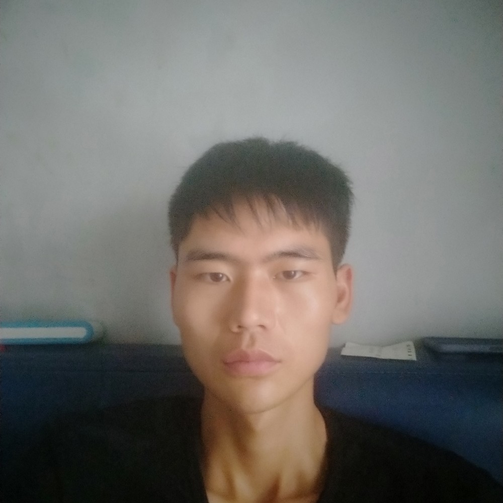 猎豹用斯文的照片