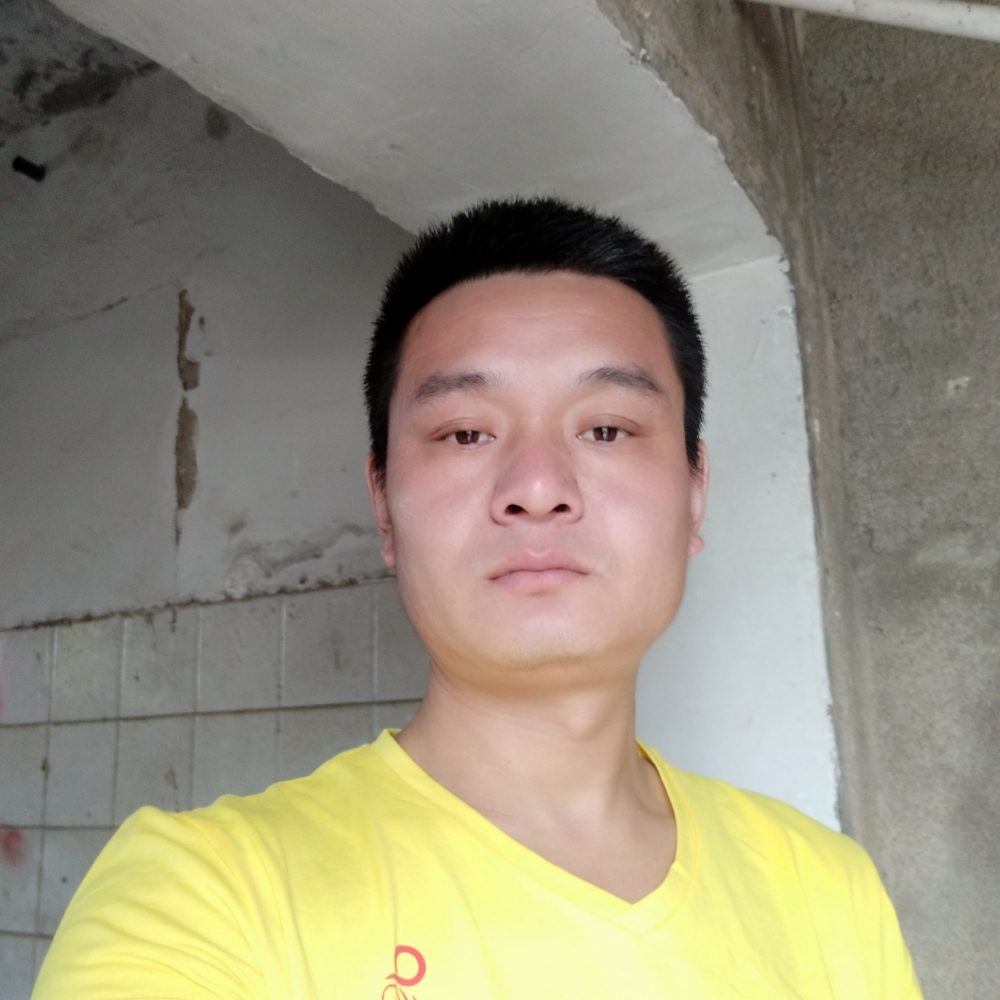 飞鸟相许怕孤独的照片