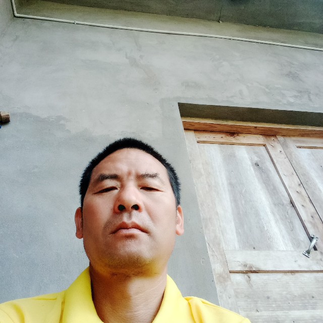 小懒猪超帅的照片