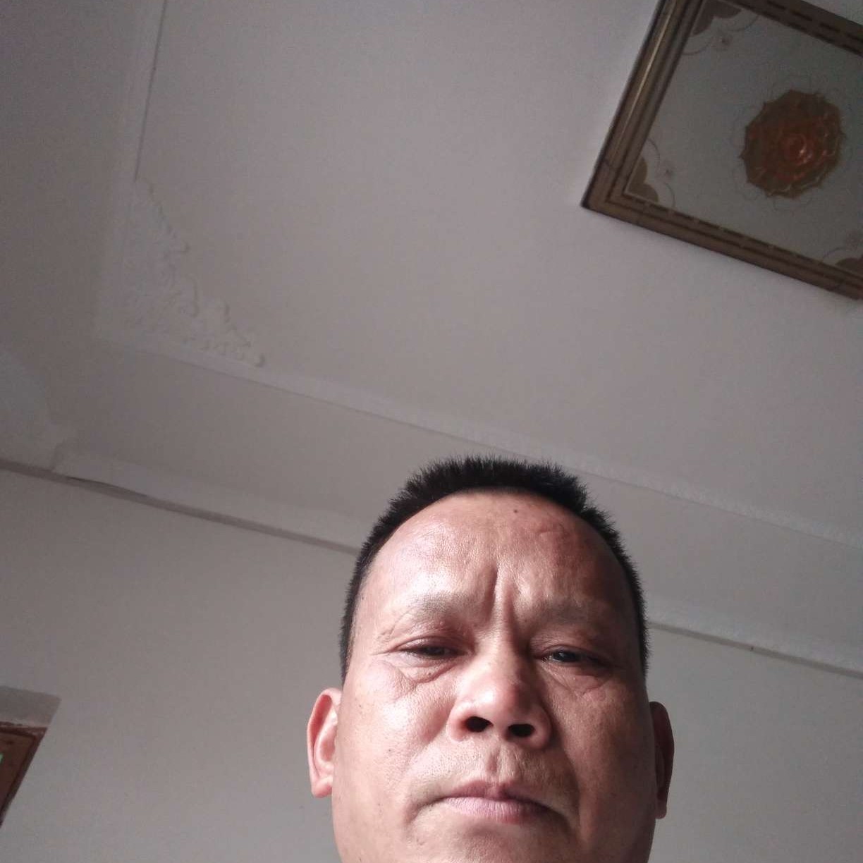 标致迎羊的照片