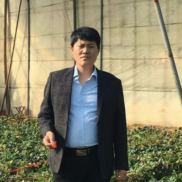 香帅锅的照片
