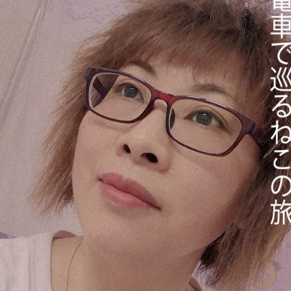大雁热情的照片