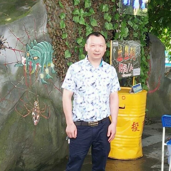 酷炫苦恋绿草的照片