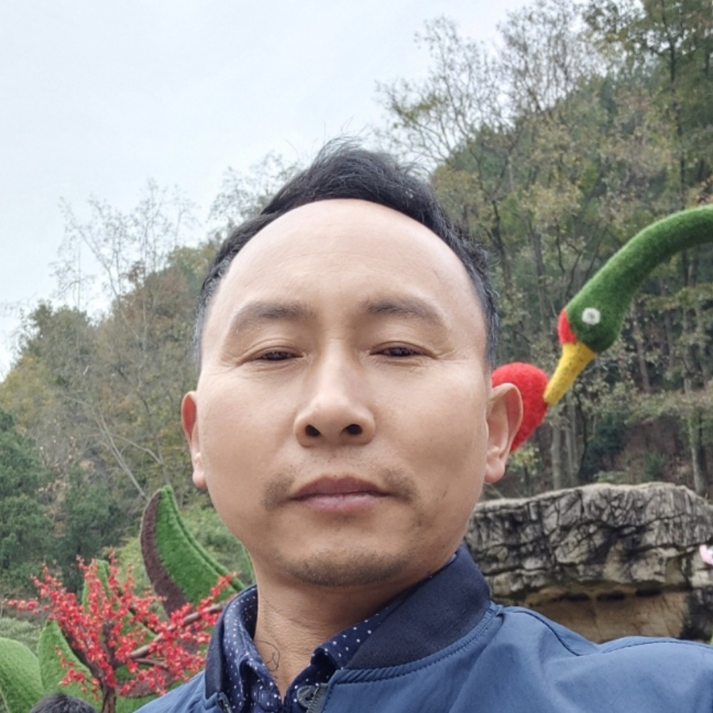 小刺猬的妖娆的照片