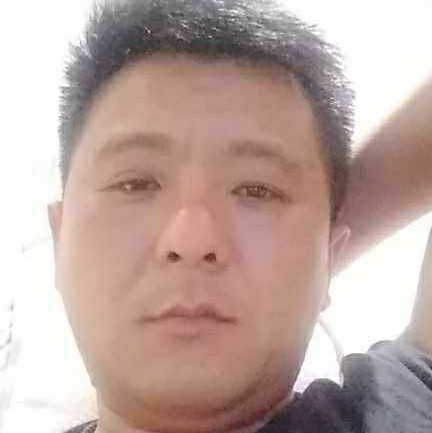 小刺猬昏睡的照片