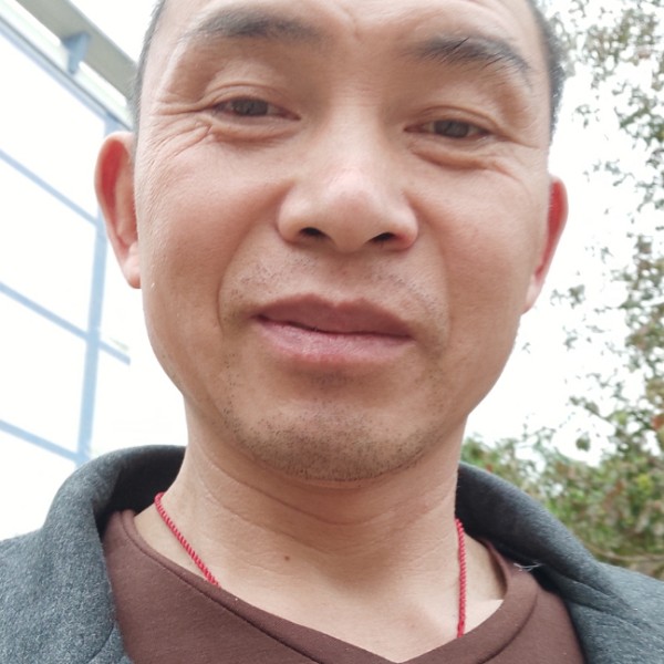 鱼用浅唱的照片