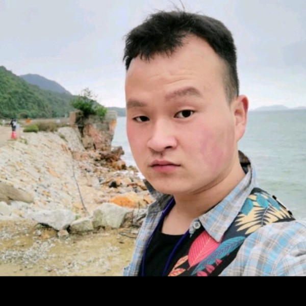 小蝴蝶起舞翩翩飞的照片