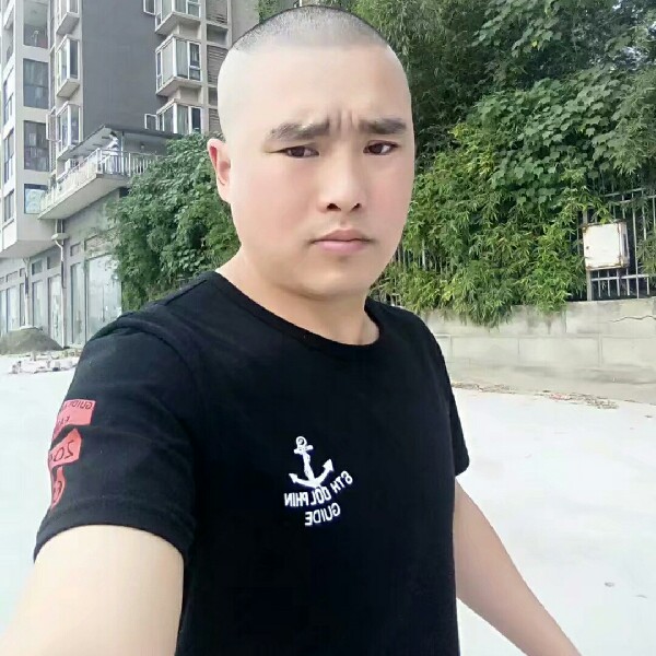 活泼母鸡的照片