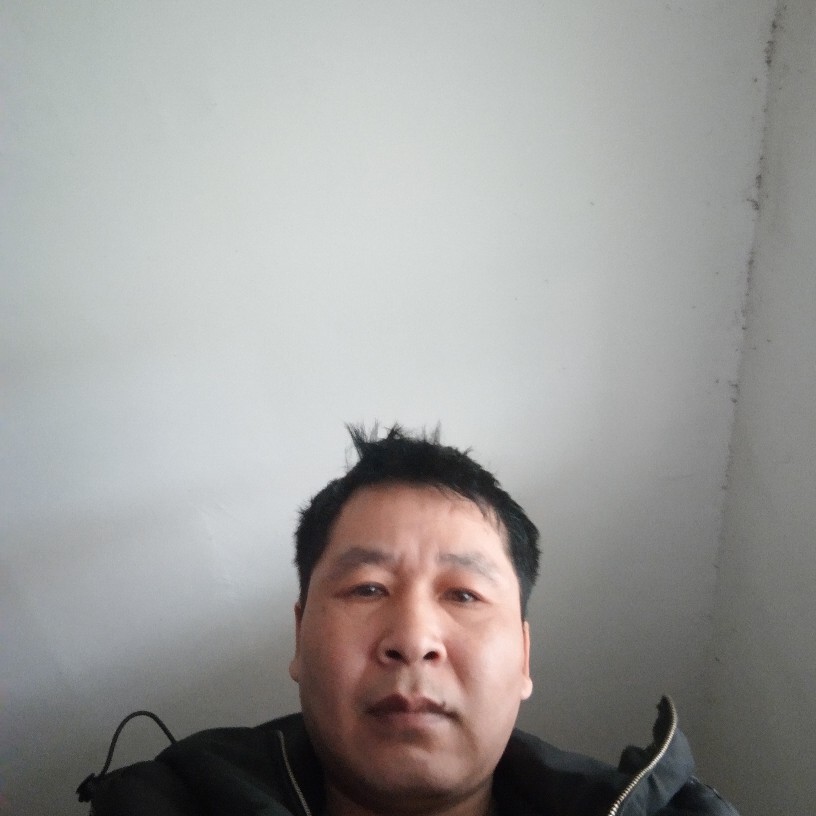 树叶老实的照片