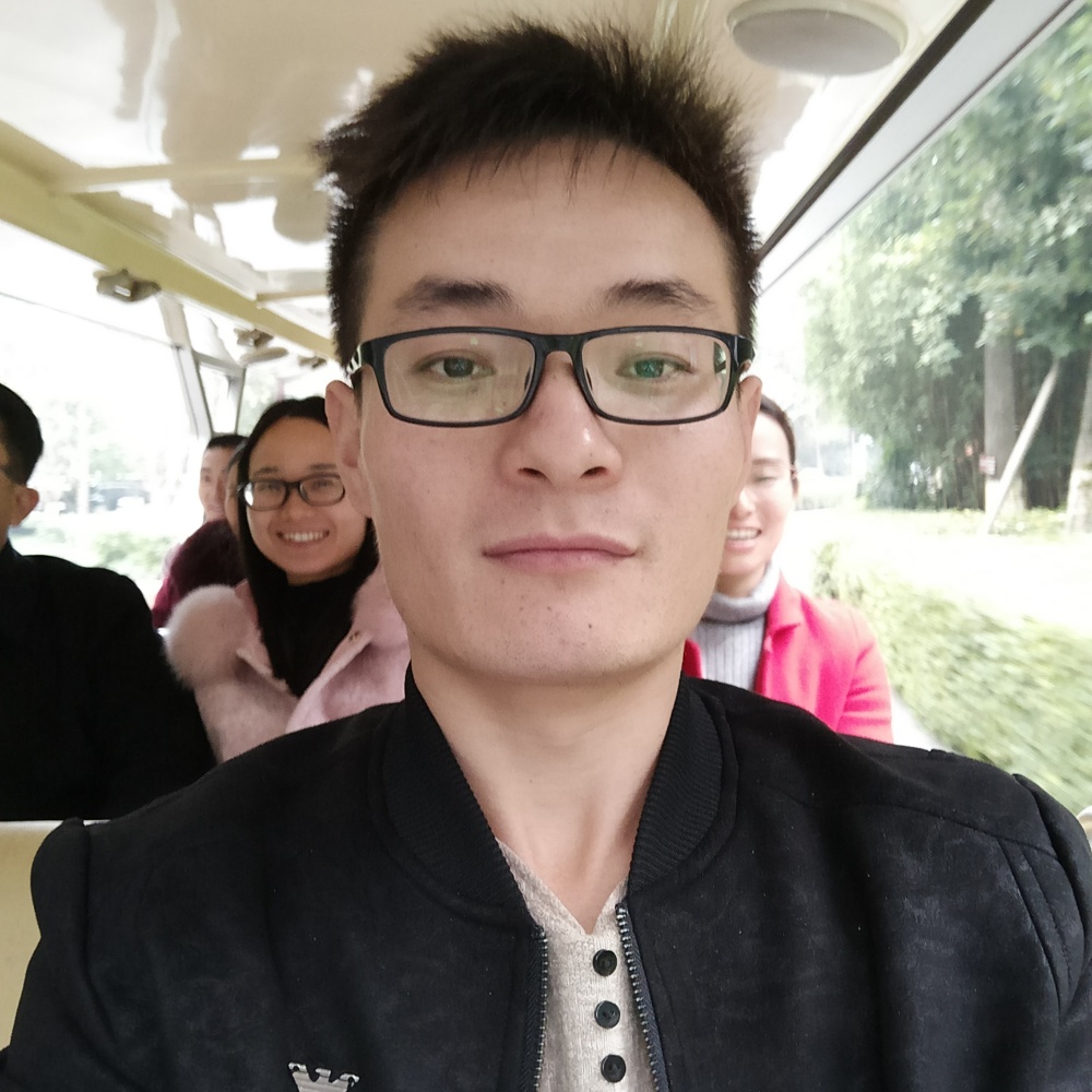 太阳木的照片