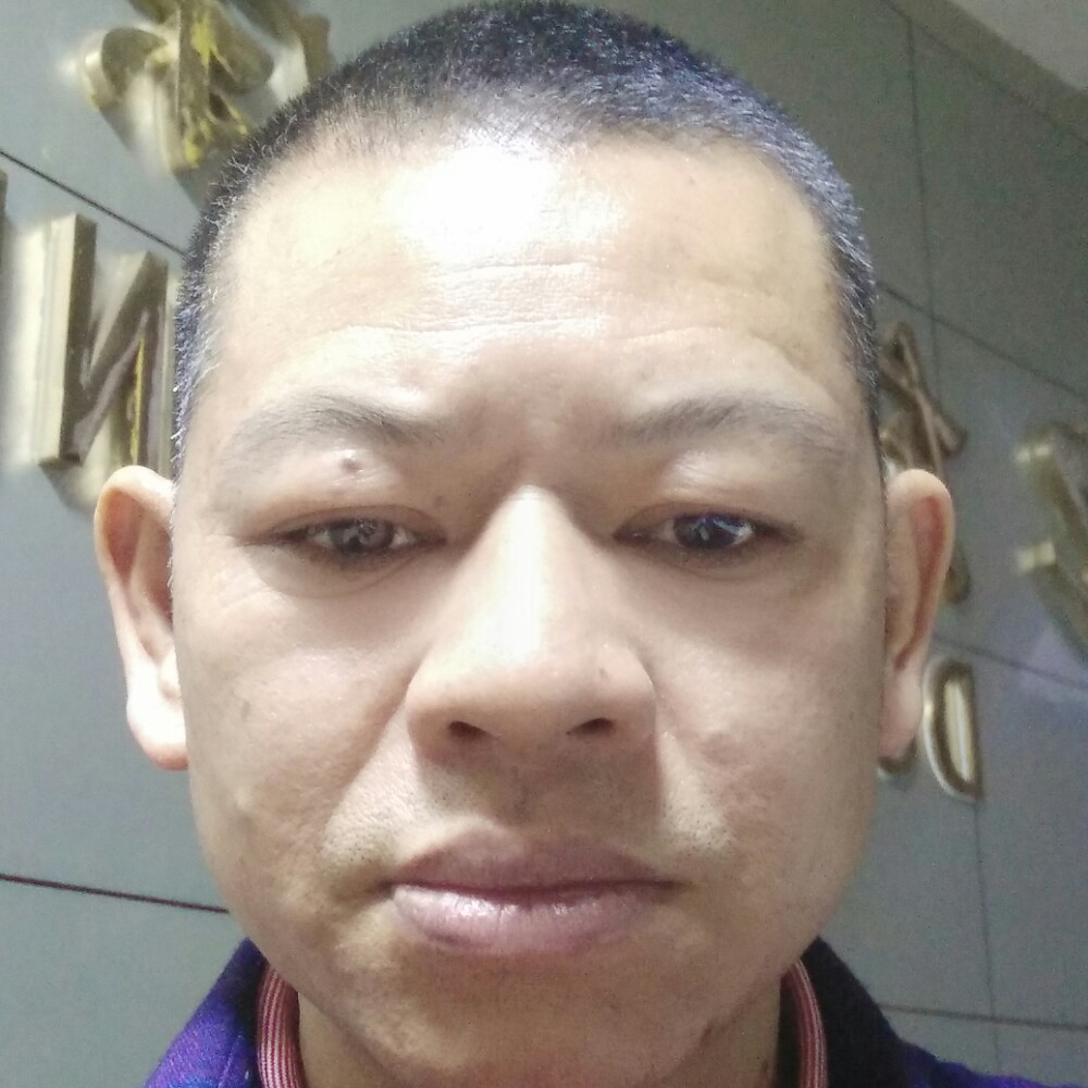 龙在江湖三友的照片