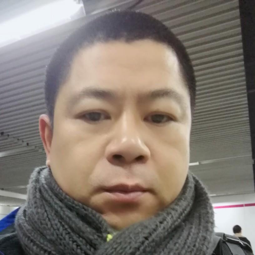 幽幽白树的照片