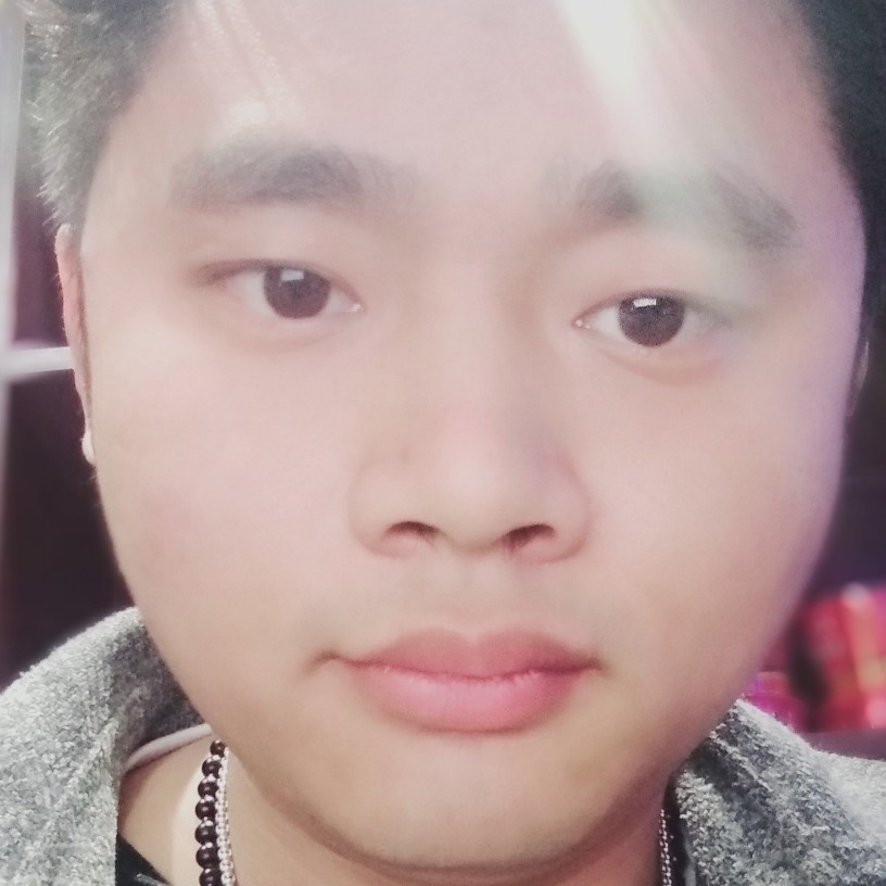 有魅力的小刺猬的照片