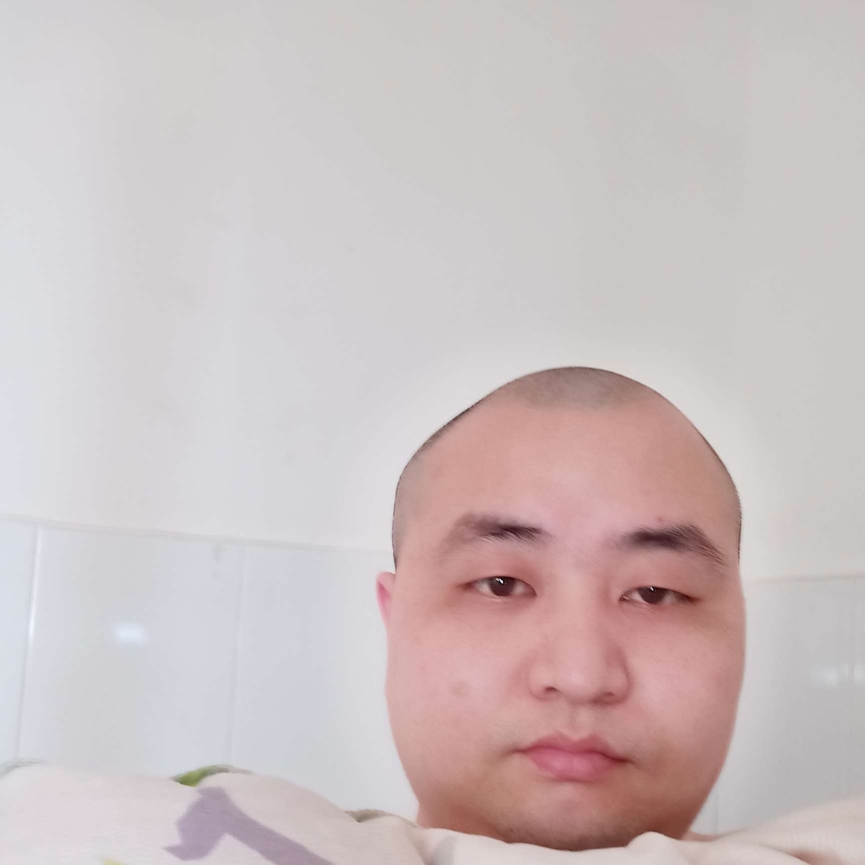 柔弱的大象的照片