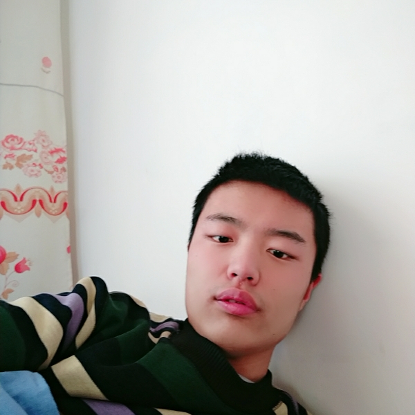 小巧与剪影的照片