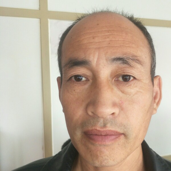 哭泣凝眸灰狼的照片