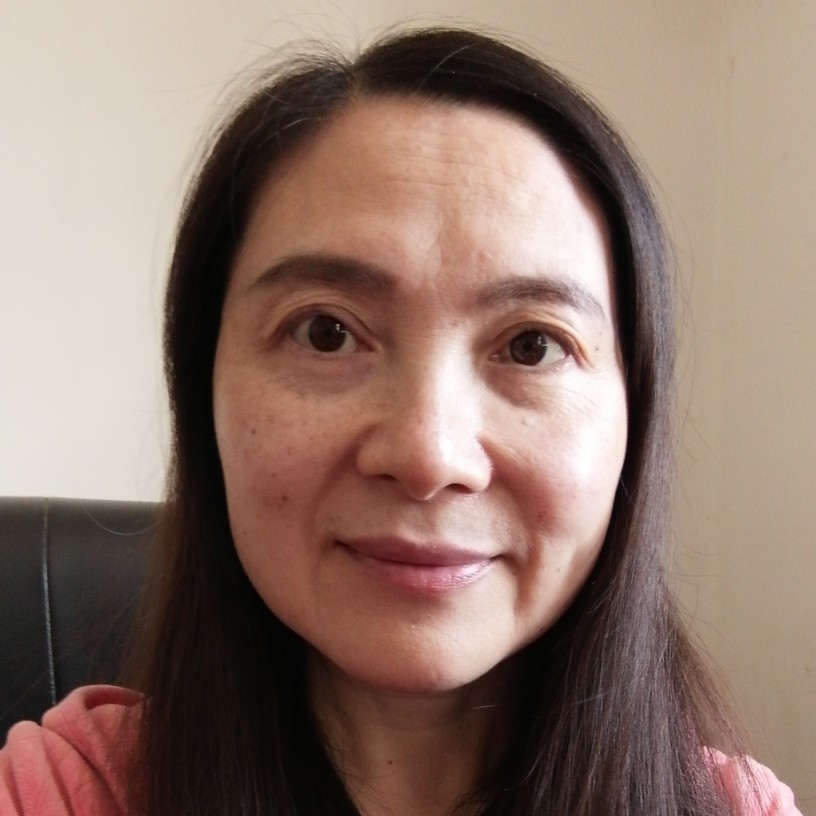 纸鹤拾忆优美的照片