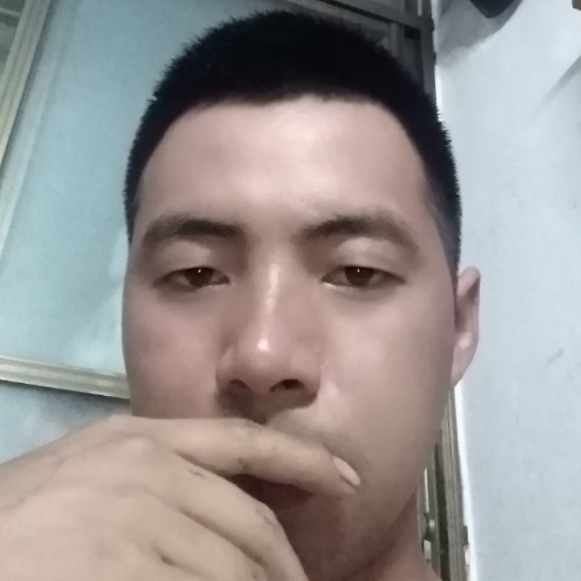忐忑还大象的照片