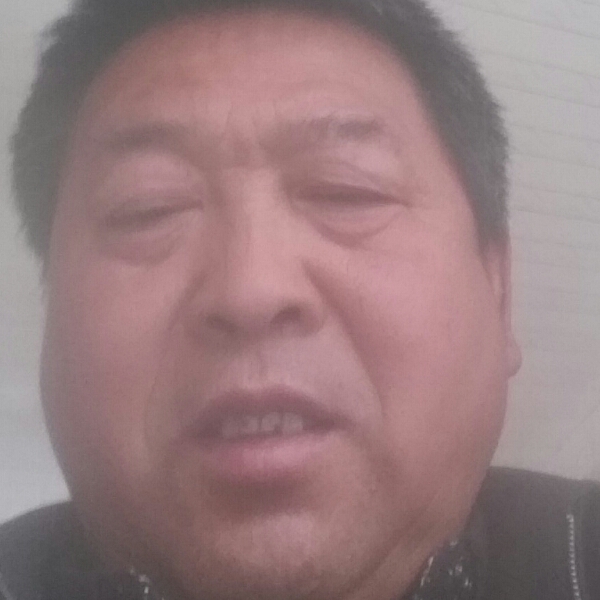 国槐的照片
