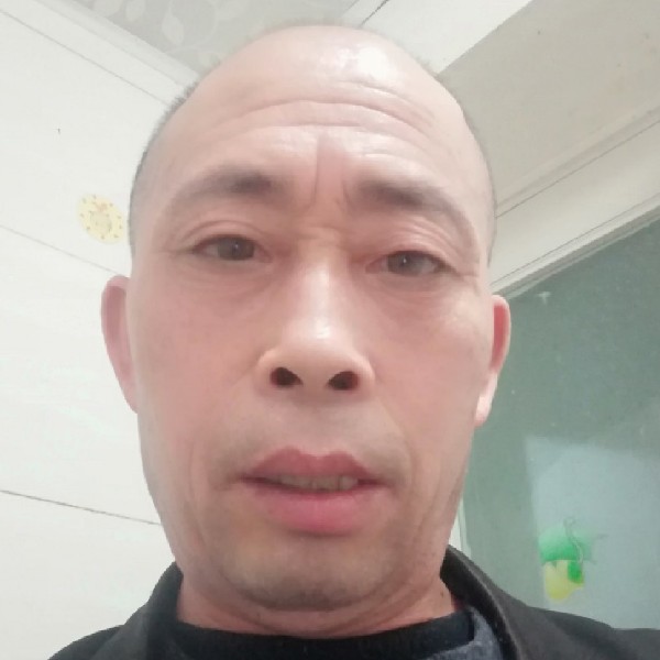 大雁不安的照片