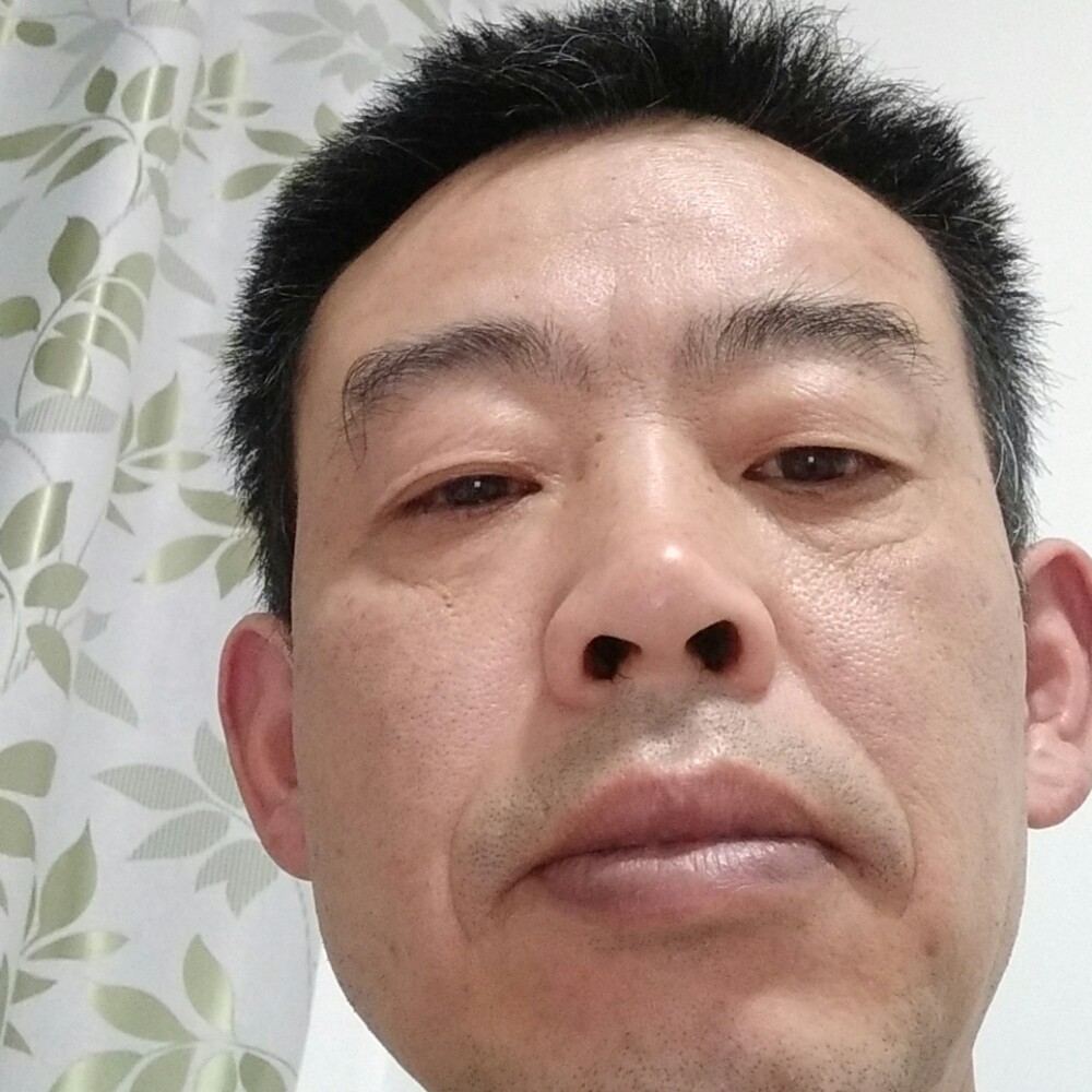 鸡追寻的照片