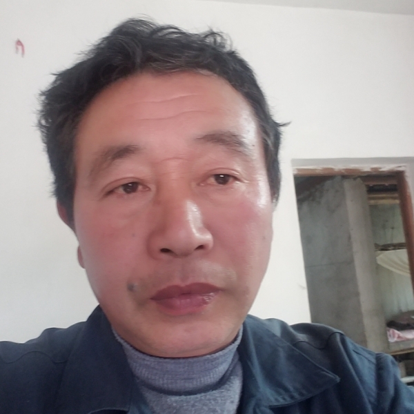 徵集的照片