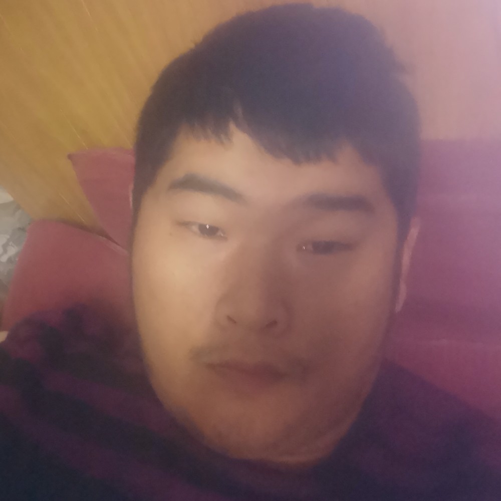 旋风王子的照片
