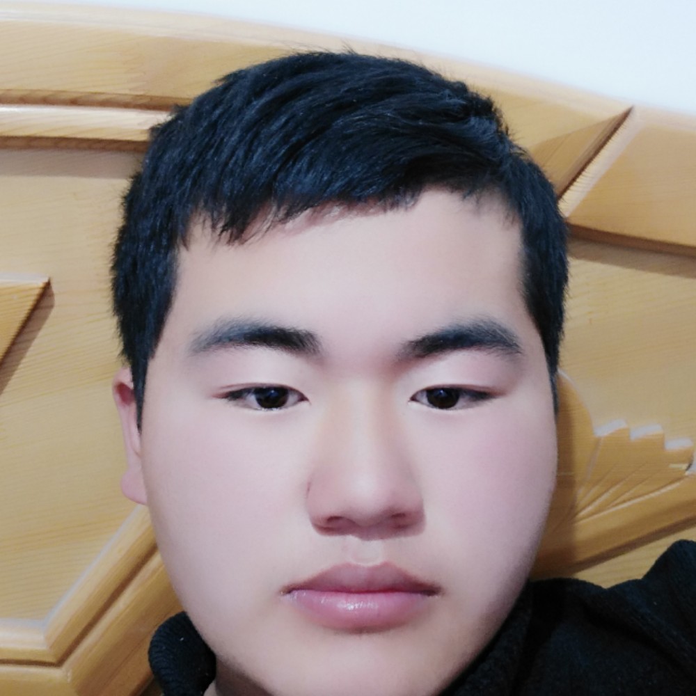 浪漫的小刺猬的照片